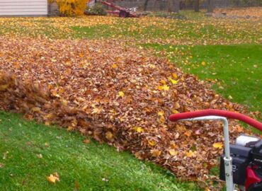 fall-cleanup