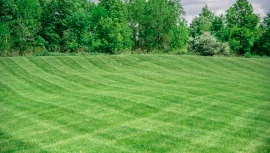 beautiful green well cut lawn